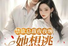 禁欲总裁夜夜缠，她想逃却逃不掉​​温澜免费小说禁欲总裁夜夜缠，她想逃却逃不掉​​推荐完结小说-荏苒文学