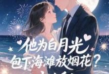 他为白月光包下海滩放烟花?离婚!(霍宴州云初)小说推荐他为白月光包下海滩放烟花?离婚!全章小说阅读-荏苒文学