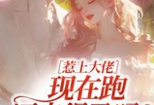惹上大佬，现在跑还来得及吗？（林媛）小说推荐惹上大佬，现在跑还来得及吗？全章小说阅读-荏苒文学