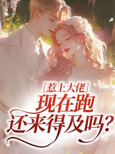 惹上大佬，现在跑还来得及吗？完整版小说，惹上大佬，现在跑还来得及吗？林媛全章小说阅读