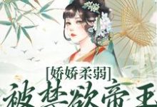 娇娇柔弱，被禁欲帝王强制囚宠宋泱裴慎最新完结小说，娇娇柔弱，被禁欲帝王强制囚宠全本免费在线阅读-荏苒文学