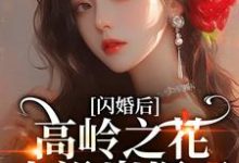 闪婚后,高岭之花人设崩塌了苏酥完结小说推荐,闪婚后,高岭之花人设崩塌了全章小说阅读-荏苒文学