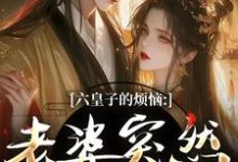 六皇子的烦恼:老婆突然不瞎了(谢成君)小说推荐六皇子的烦恼:老婆突然不瞎了全章小说阅读-荏苒文学