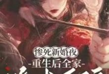 (全文)惨死新婚夜，重生后全家跪求原谅姜梨全本免费在线阅读-荏苒文学