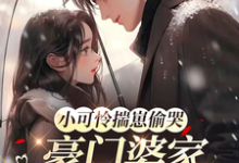 小可怜揣崽偷哭，豪门婆家来团宠完整版小说，小可怜揣崽偷哭，豪门婆家来团宠苏念念试读更新章节-荏苒文学