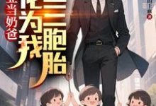 (全文)毕业当奶爸：校花为我生了三胞胎顾琛全本免费在线阅读-荏苒文学
