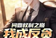 (全文)问鼎权利之巅，我成反贪第一人热门小说排行榜，问鼎权利之巅，我成反贪第一人方晓倩全章小说阅读-荏苒文学