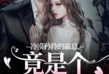 宋诗予冷漠矜持的霸总，竟是个纯爱战士全本免费在线阅读-荏苒文学