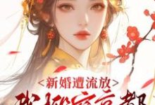 (全文)新婚遭流放，我搬空京都去逃荒热门小说排行榜，新婚遭流放，我搬空京都去逃荒桑晚柠全章小说阅读-荏苒文学