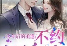 多年后的重逢，不约，姐有男友（禾念安池少东）全章小说阅读-荏苒文学