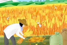 玫瑰又野又欲，太子爷伪情成真小说全文哪里可以免费看？-荏苒文学