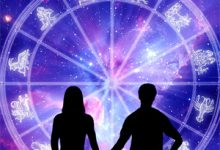 完结版《满级海后一出手！各路疯批驯成狗》免费阅读-荏苒文学