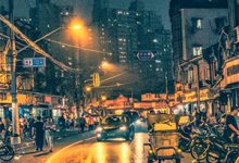 我流产后，前夫直播追妻火葬场这本小说完结了吗？免费查看最新章节-荏苒文学