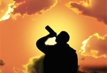 愿我余生皆自由小说最新更新在哪里？免费在线看-荏苒文学