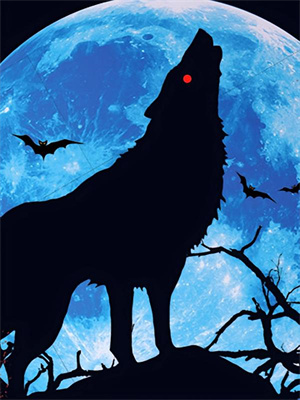 凌语姗陆见川小说在线章节免费阅读（爱时竟觉星可摘无弹窗无删减）