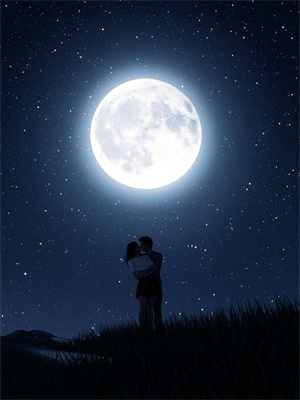 陆寒陈婉小说在线章节免费阅读（爱意散，情已灭无弹窗无删减）